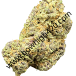 pinkgelato