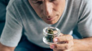 how to get rid of the weed smell the complete guide