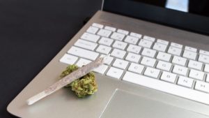 tips for buying weed from an online weed dispensary in london