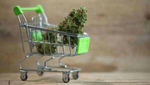 want to buy weed top benefits of shopping online
