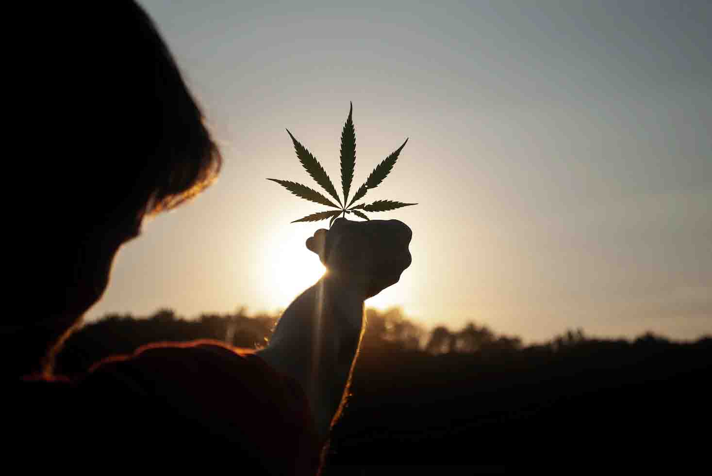 weed delivery niagara falls weed delivery niagara falls