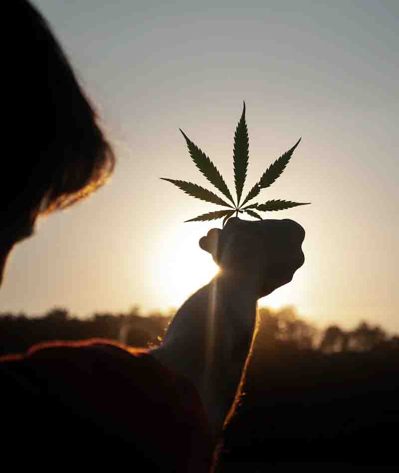 weed delivery woodstock weed delivery woodstock