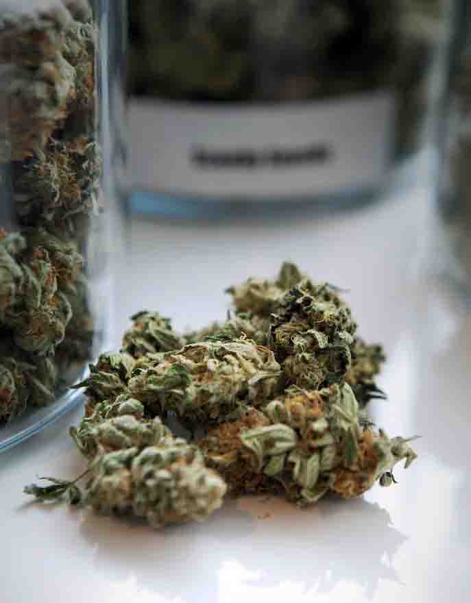 weed home delivery brantford 3 weed home delivery brantford 3