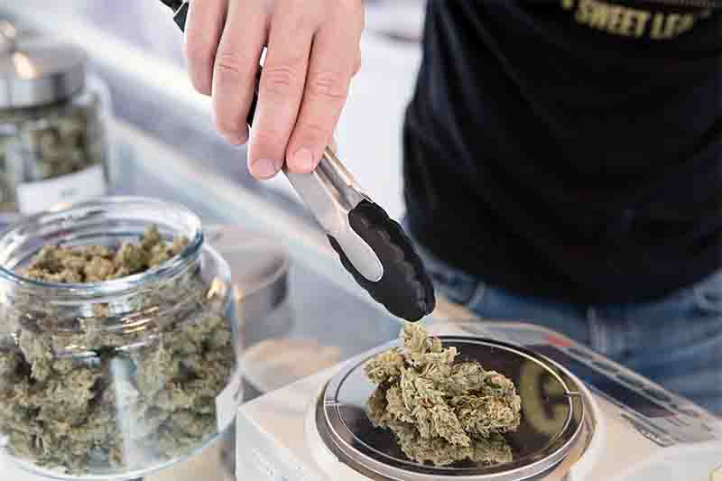 weed home delivery woodstock weed home delivery woodstock