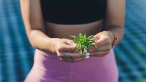 cannabis and exercise how combining both can be beneficial