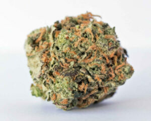 mr. big stuff 5a (1 hit…2 hit…. buzzzed)