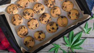 these 5 cannabis infused dishes are a must try