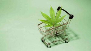 the pros and cons of using online dispensaries for your cannabis needs