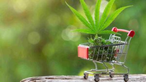 the growing popularity of cannabis delivery services in woodstock convenience at your doorstep