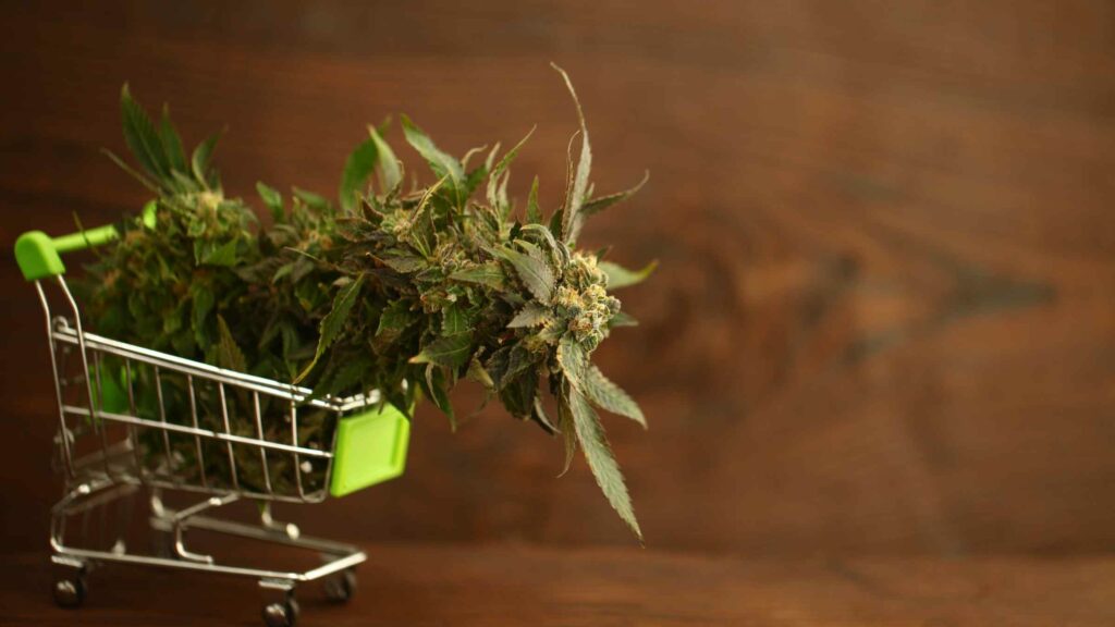 a taste of londons online dispensary scene top picks for weed lovers