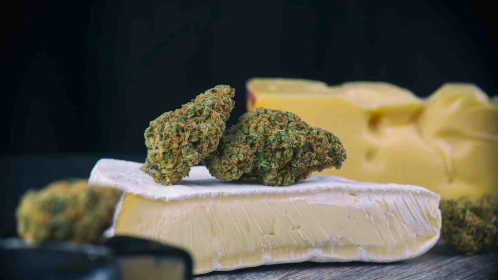 how your choice of strain can impact your edible experience in canada