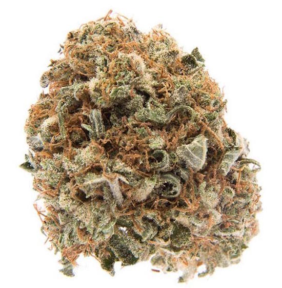 sensistar