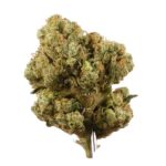 sourdiesel