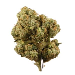 sourdiesel