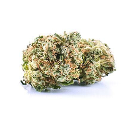 nordle cbd