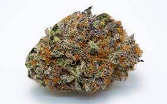 northern berries