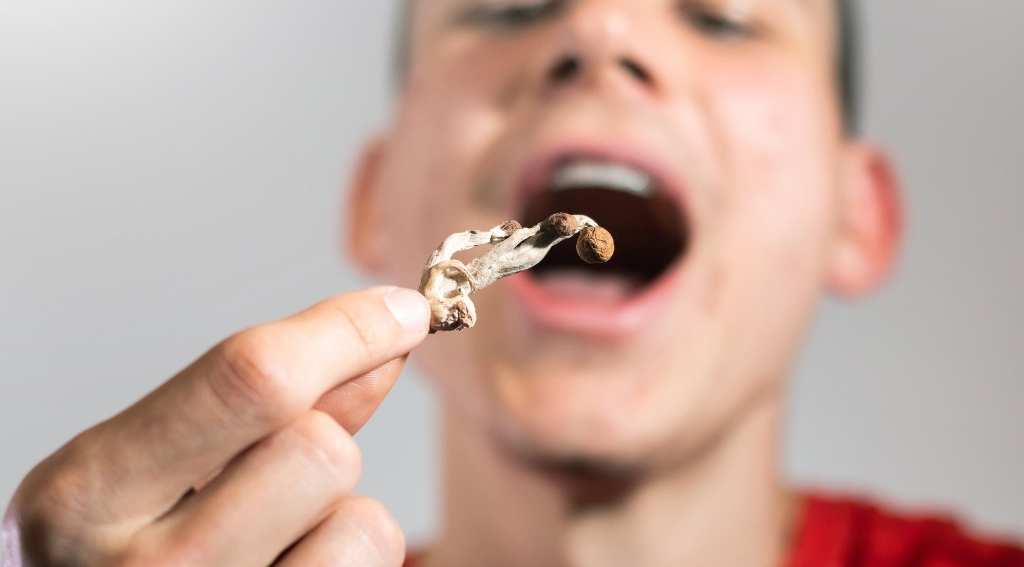 microdosing cannabis a guide to boosting everyday productivity