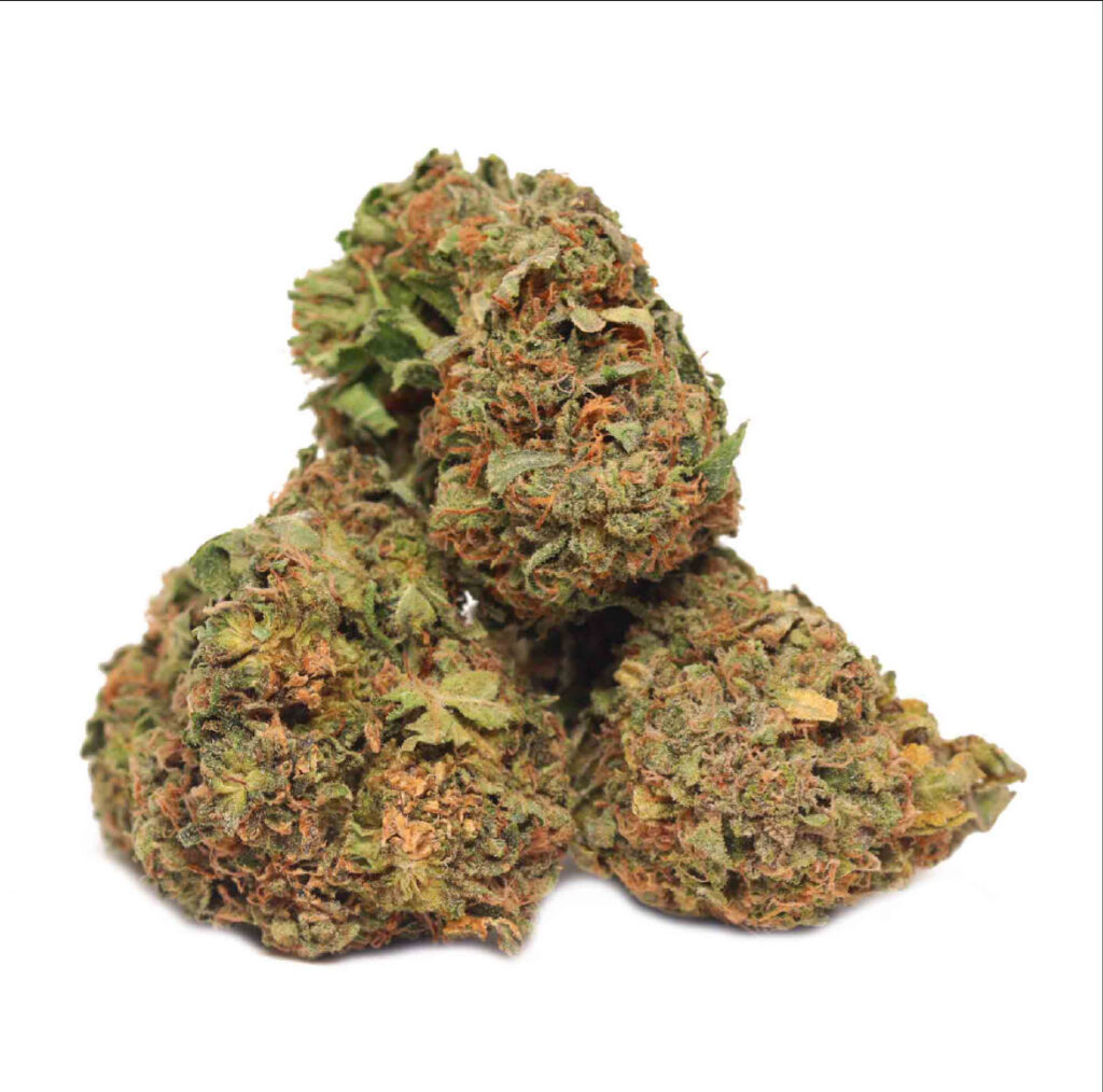 platinum punch (gh)