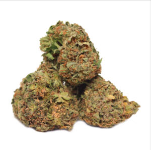 platinum punch (gh)