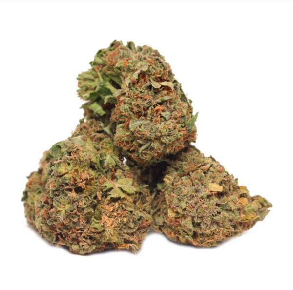 platinum punch (gh)
