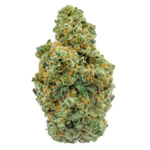 jungle mints