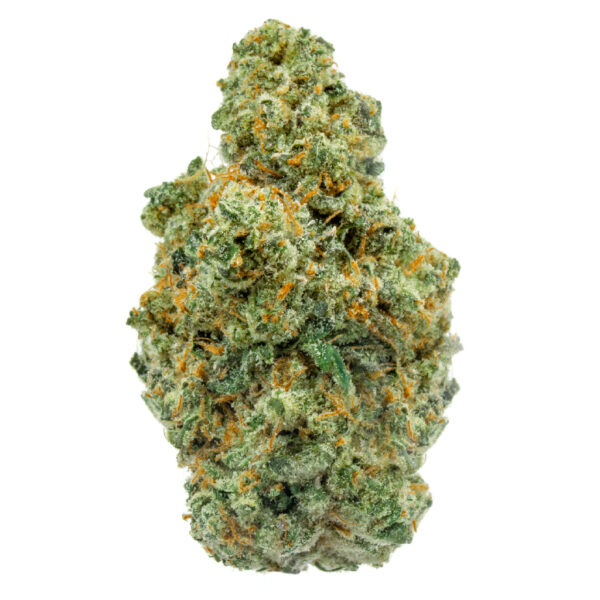jungle mints