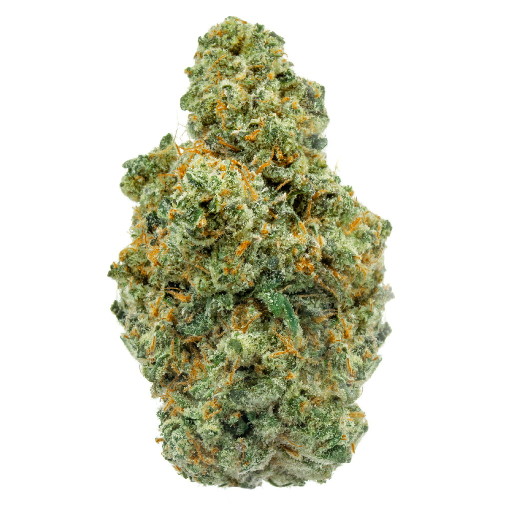 jungle mints