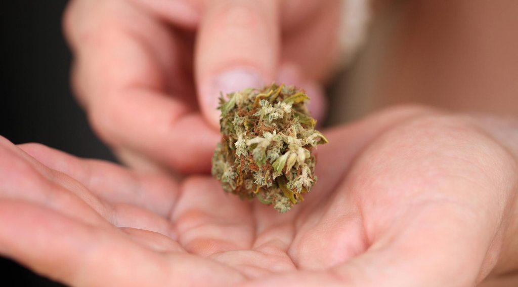 common mistakes when microdosing cannabis and how to avoid them