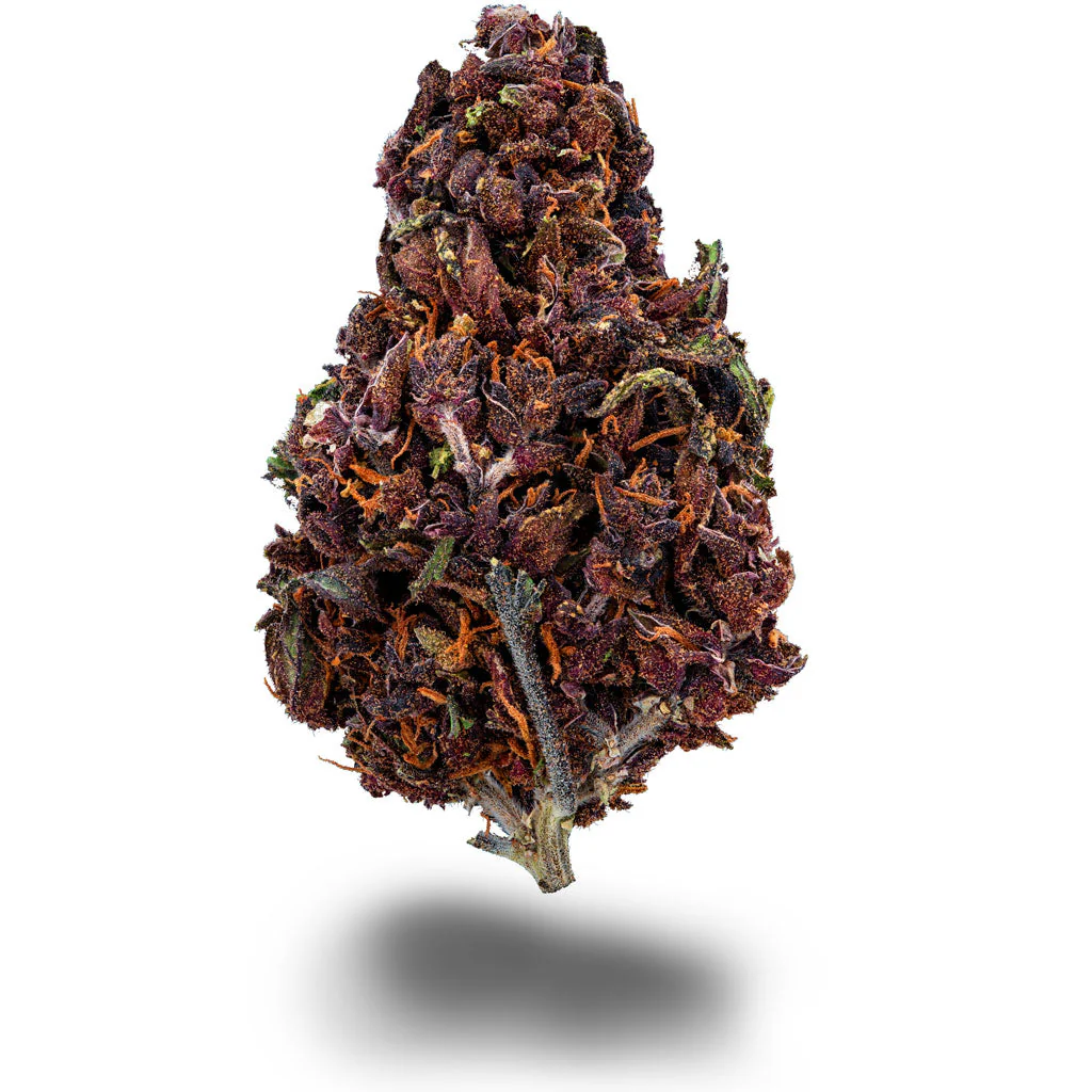 purple haze (gh)