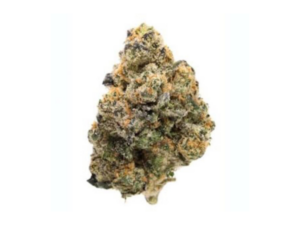girl scout cookies (gh)