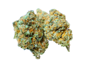 bc kush