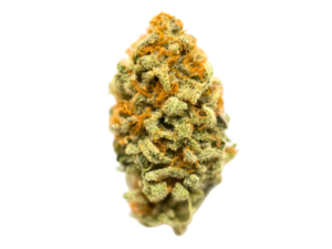 orange gasm