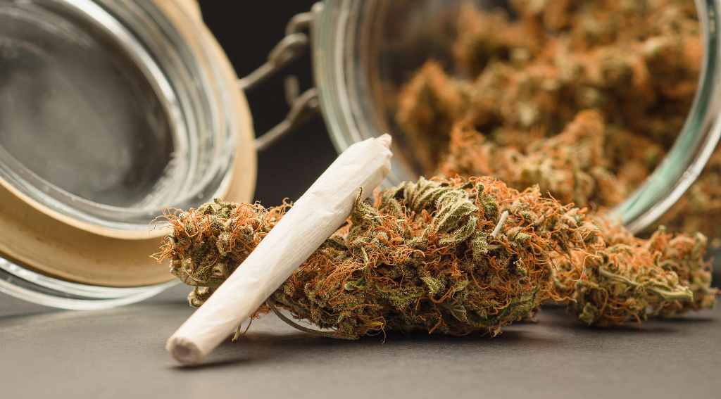 is super pink strain good for beginners