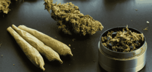 white widow strain review 2025