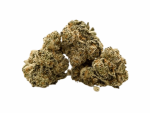 grease monkey