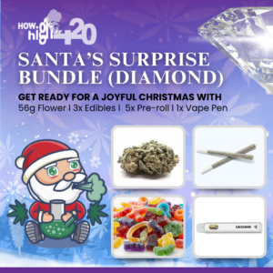 santa's surprise bundle (diamond)