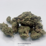 gelato aaa