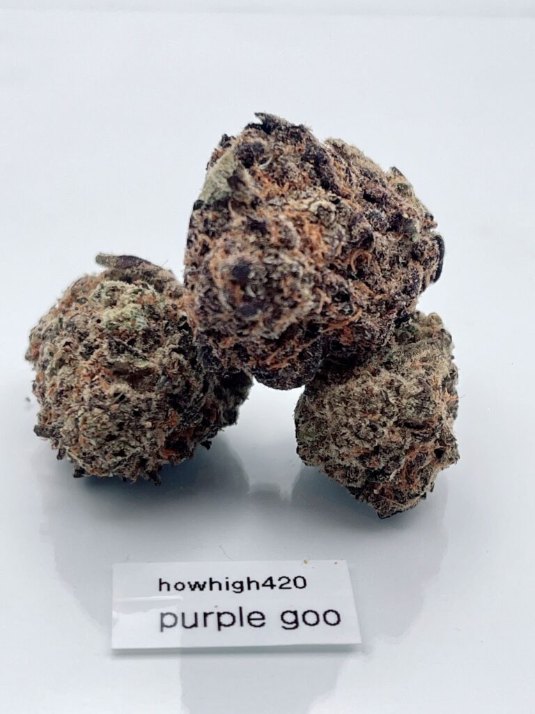 purple goo