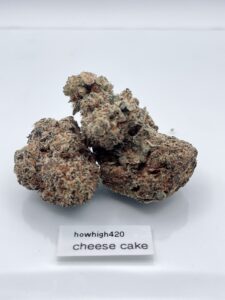 cheese cake