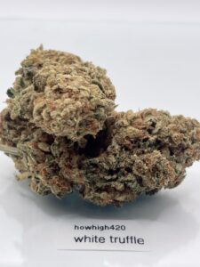 white truffle