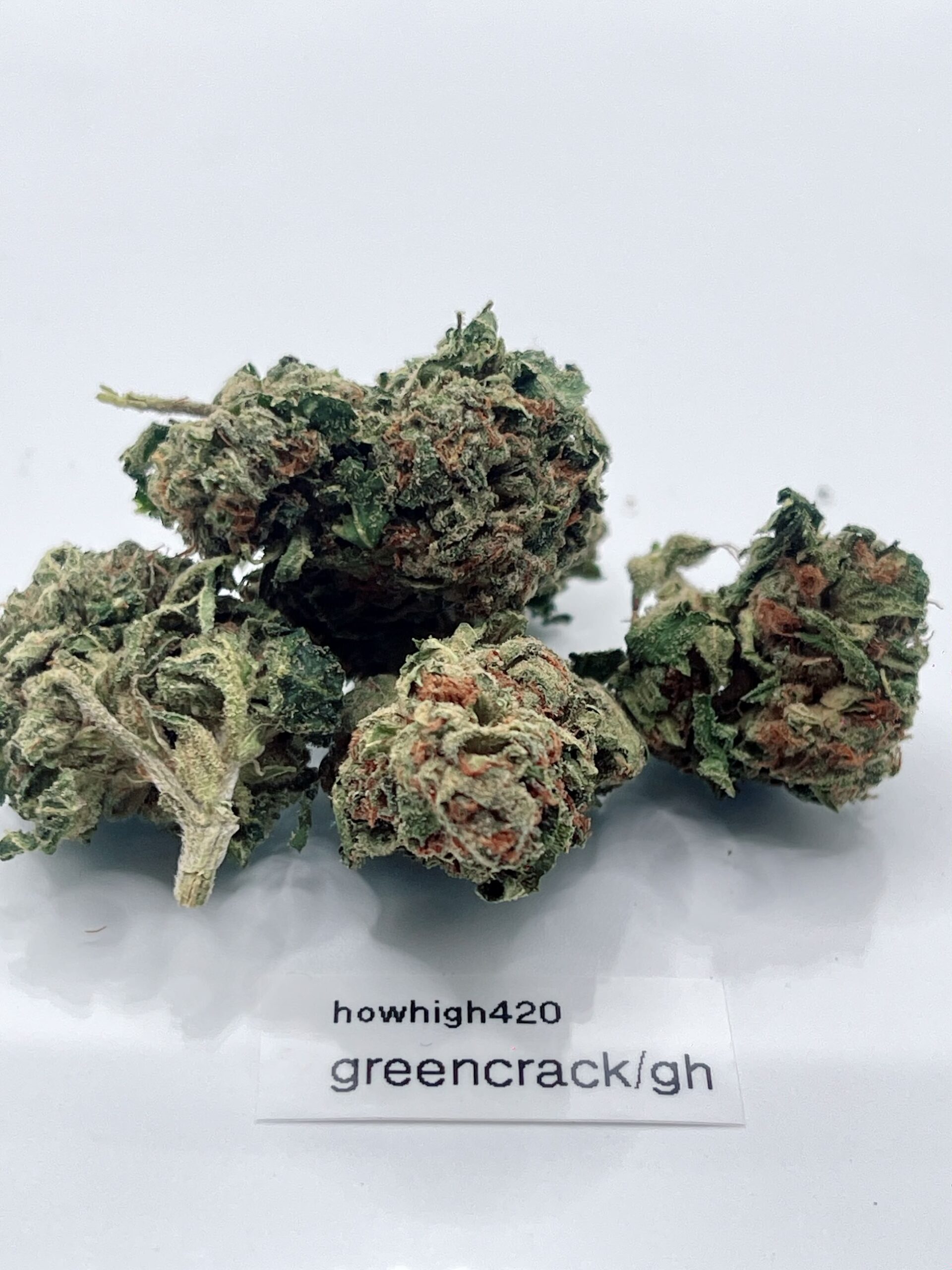 green crack (gh)