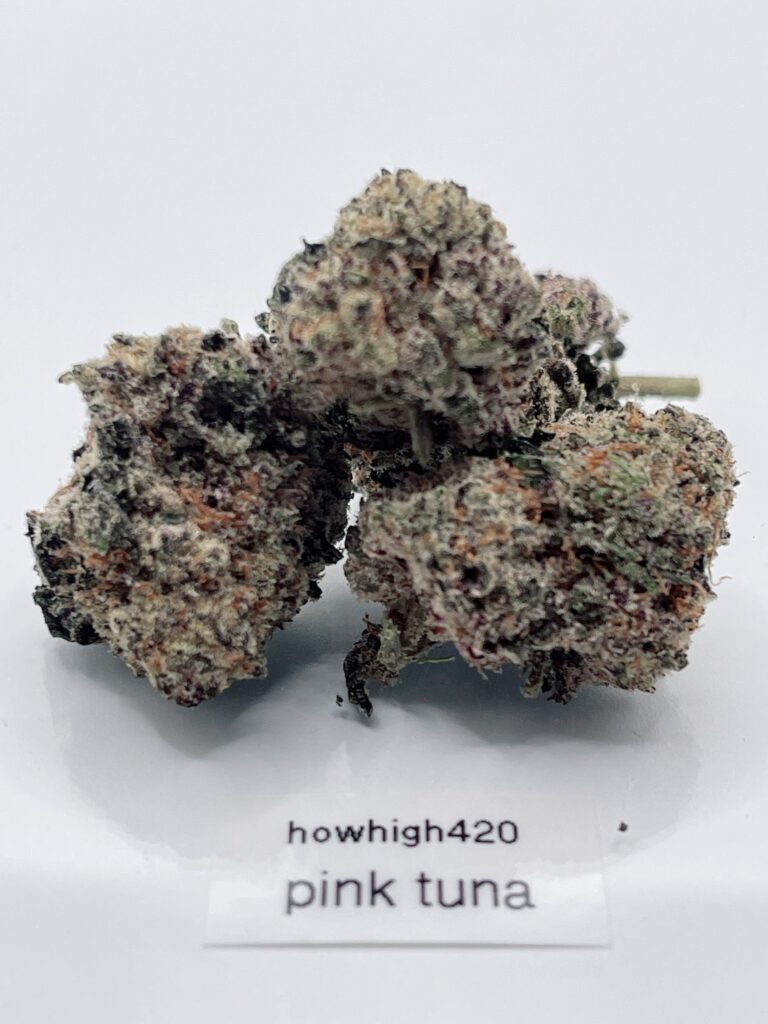 pink tuna