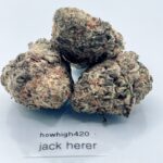 jack herer aaa