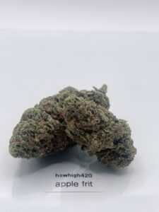 apple fritter