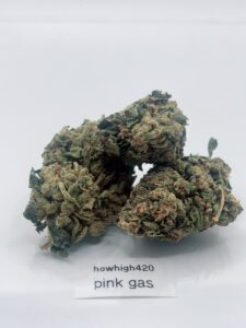pink gas