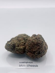 blue cheese