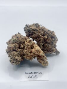ace of spades 4a (bc)