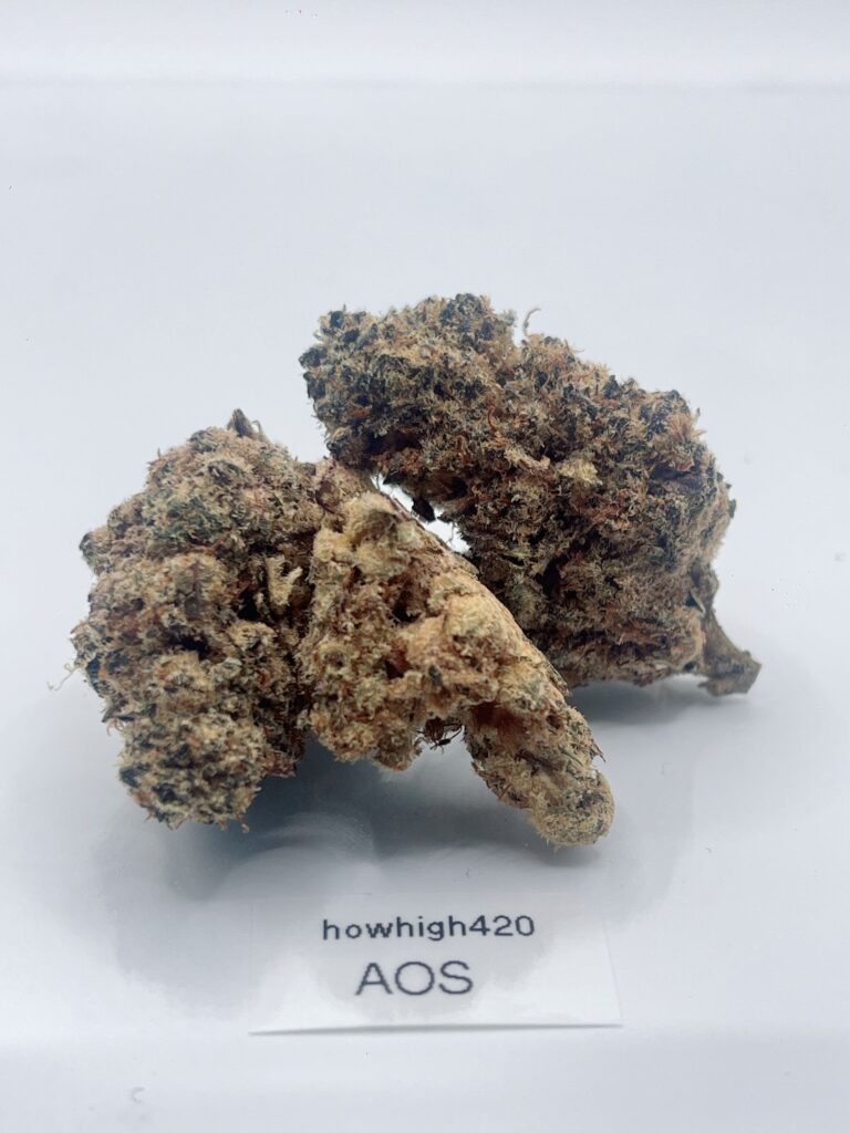 ace of spades 4a (bc)