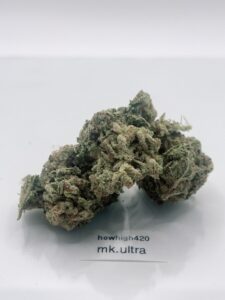 mk ultra