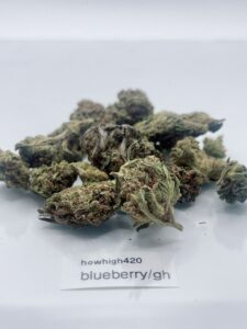blueberry kush gh